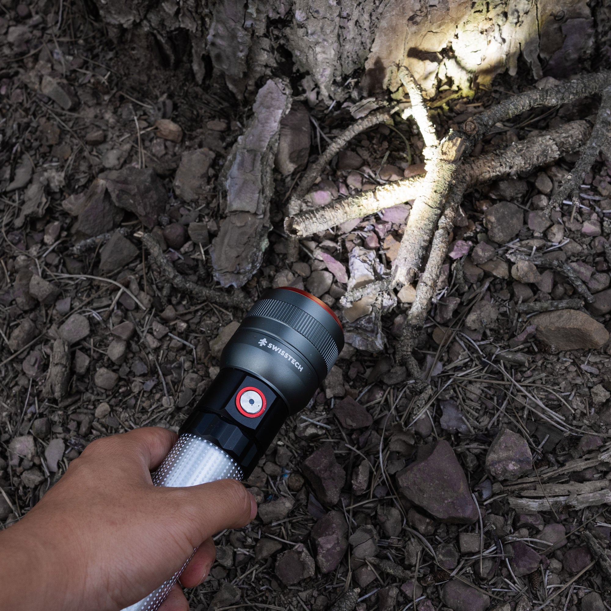 Vielsseitig - 1200 Lumen